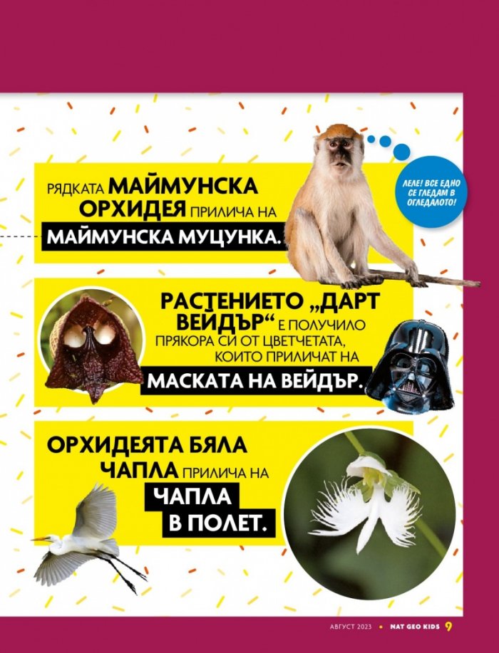 National Geographic KIDS България Август/2023