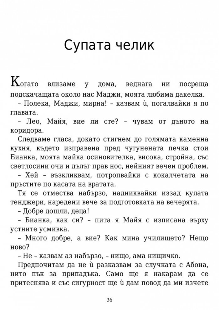 Вълшебните земи на Мидендхил Кн.1: Мисията на последния пазител