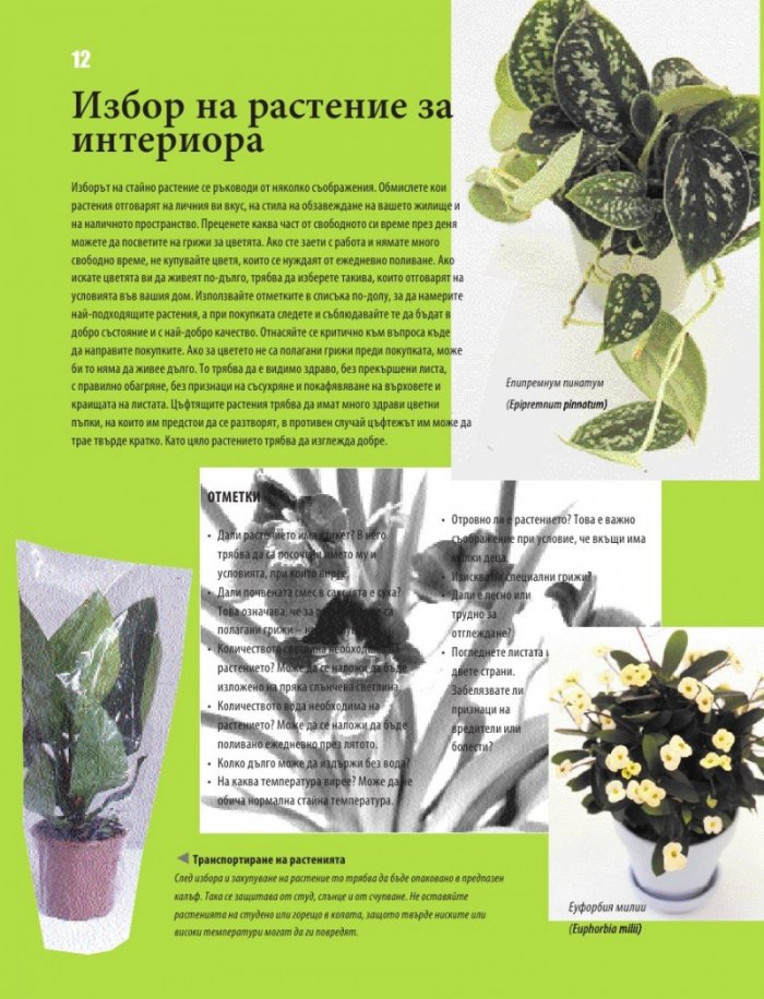 Енциклопедия на стайните растения