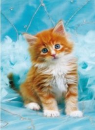 Пъзел High Quality Collection 500 ч. 30106 коте