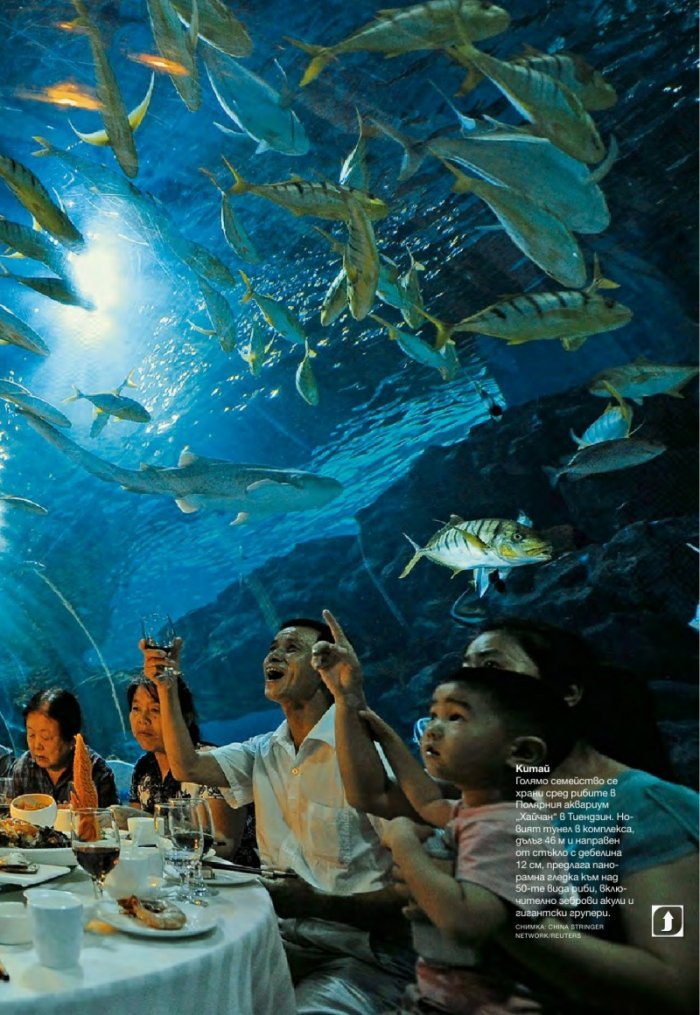 National Geographic България 5/2015
