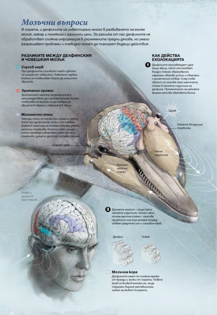 National Geographic България 5/2015