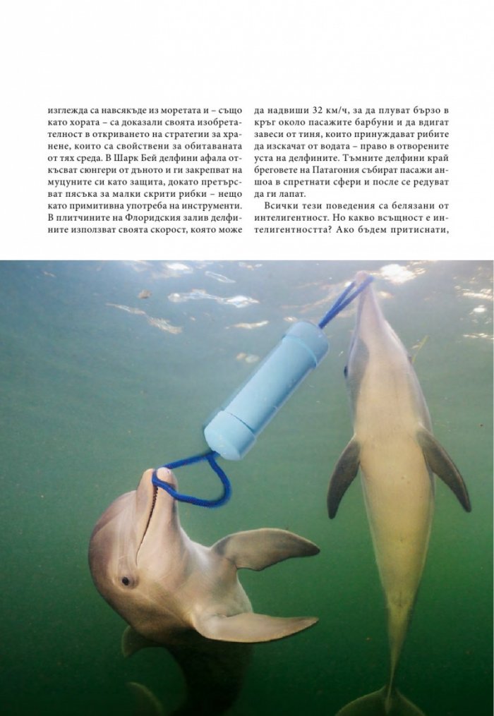 National Geographic България 5/2015