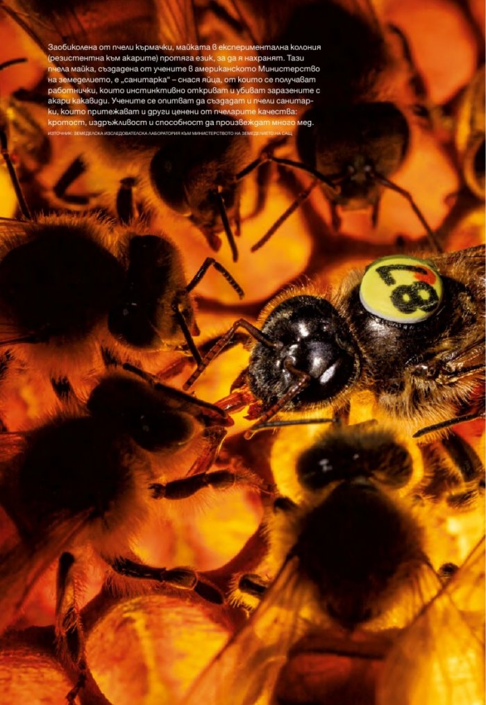 National Geographic България 5/2015