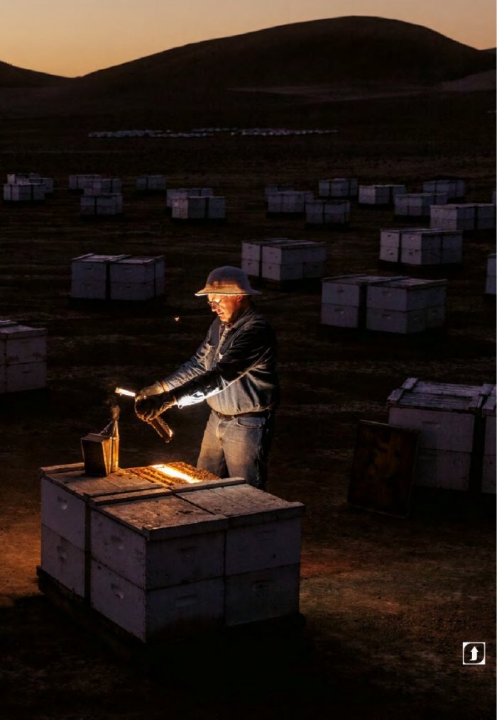 National Geographic България 5/2015