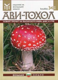Сп. Ави - Тохол/ Кн.34/2015