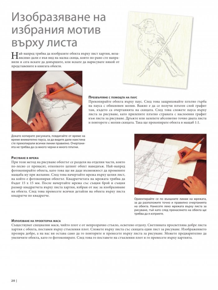 Изкуството да рисуваш в цвят
