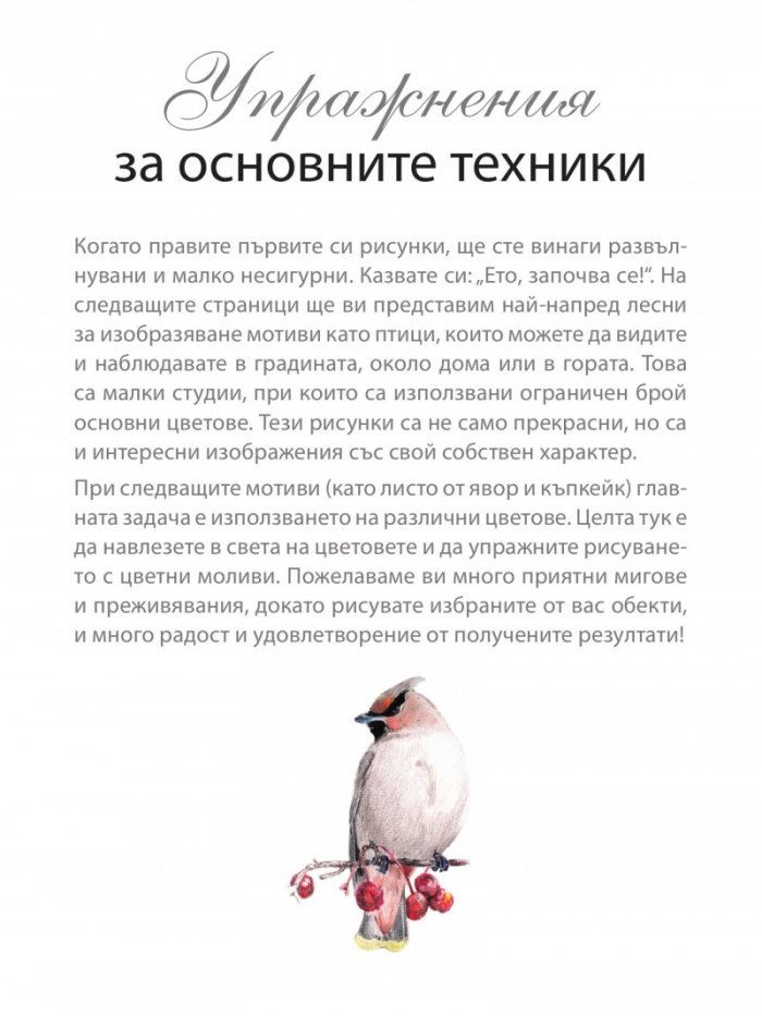 Изкуството да рисуваш в цвят