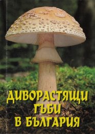 Диворастящи гъби в България