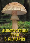 Диворастящи гъби в България