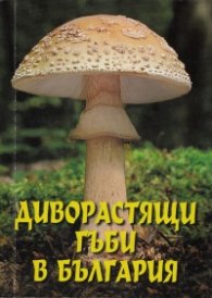Диворастящи гъби в България