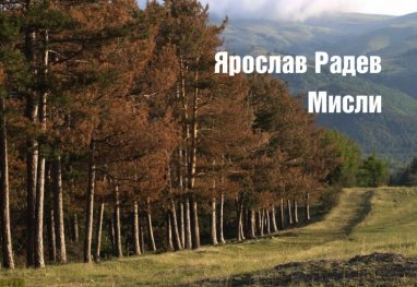 Мисли