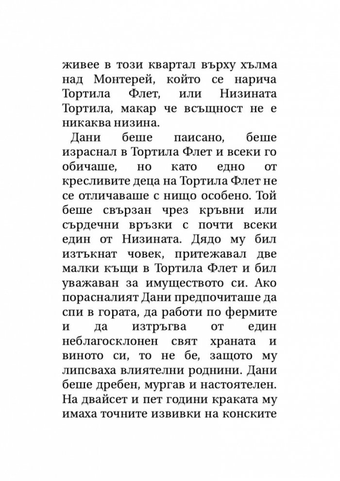 Тортила Флет
