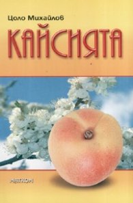 Кайсията