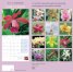 Calendar 2016: Orchids