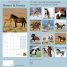 Calendar 2016: Horses & Ponies