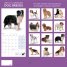 Calendar 2016: Dog Breeds