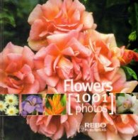 Flowers/ 1001 Photos