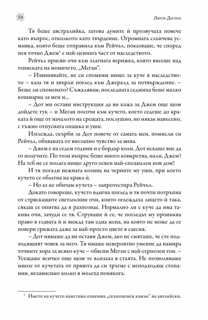 Изгубени кучета и самотни души
