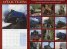 Calendar 2014: Steam Trains