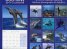 Calendar 2014: Dolphins