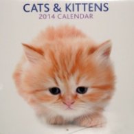 Calendar 2014: Cats & Kittens