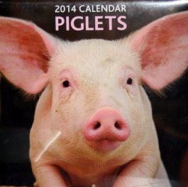 Calendar 2014: Piglets