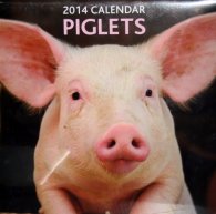 Calendar 2014: Piglets