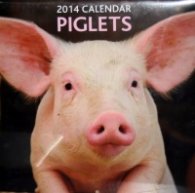 Calendar 2014: Piglets
