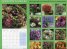 Calendar 2014: Country Flowers