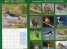 Calendar 2014: British Birds