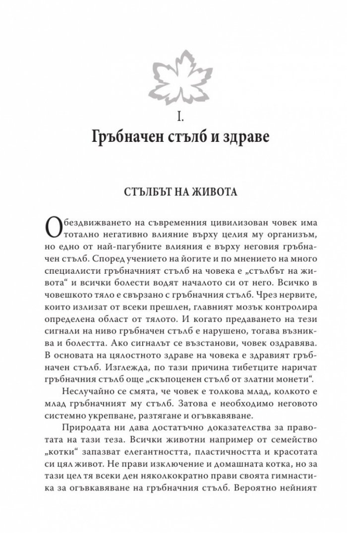 Упражнения за дома и офиса. Флексспайн гимнастика