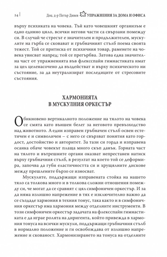 Упражнения за дома и офиса. Флексспайн гимнастика