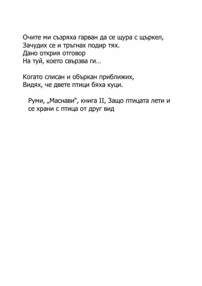 Светецът на неизбежната лудост