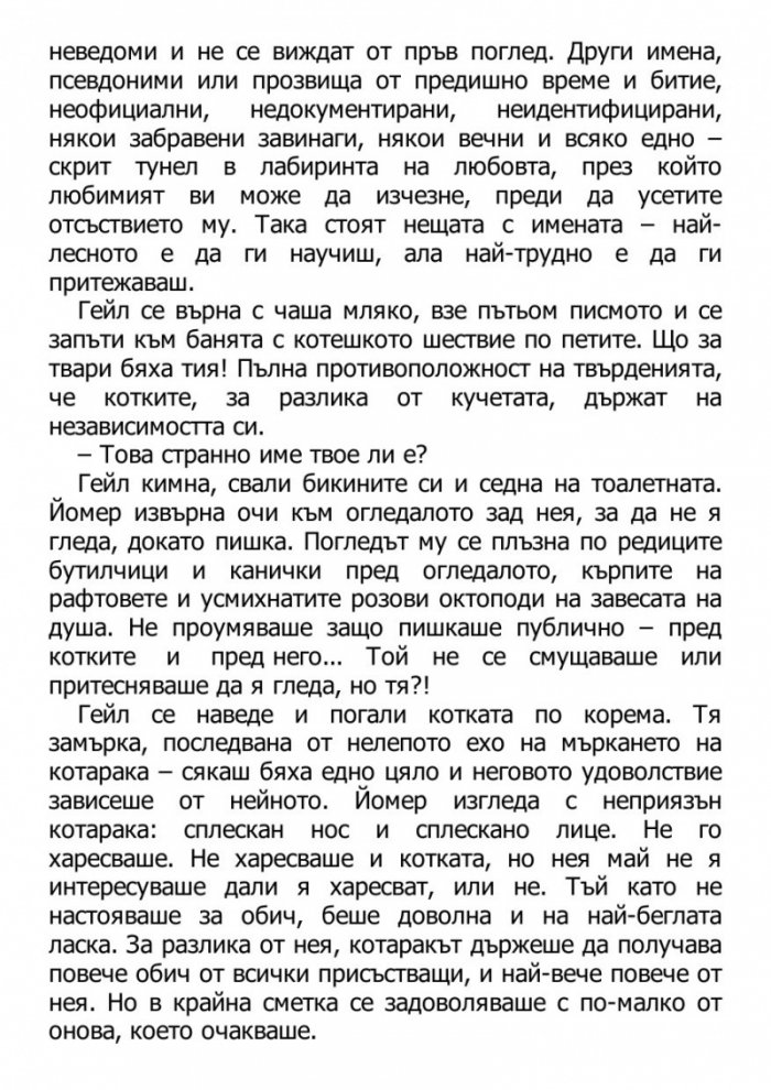 Светецът на неизбежната лудост