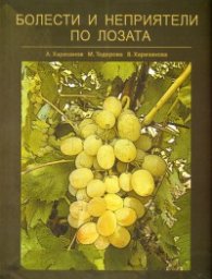 Болести и неприятели по лозата