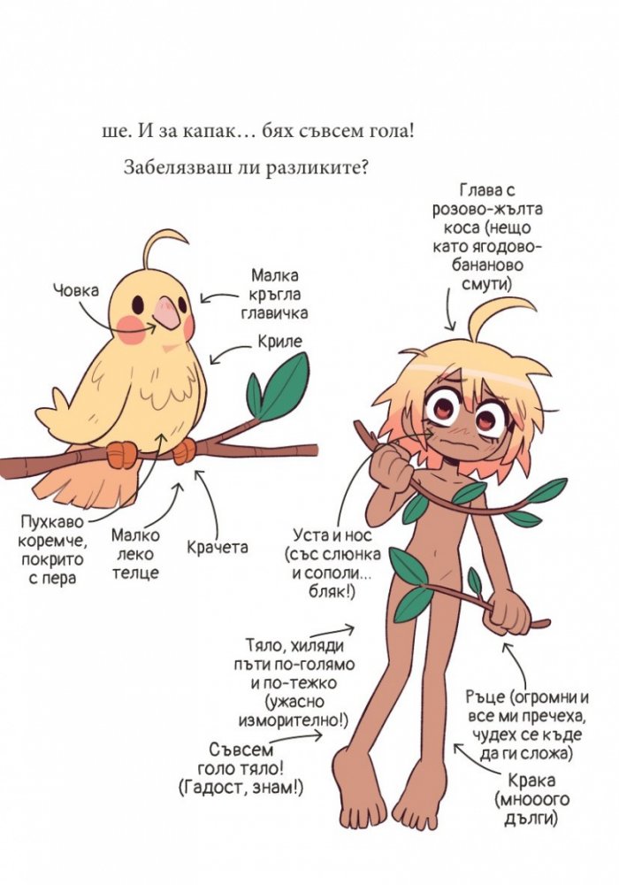Магически животни - Кн.1 Силата на амулета