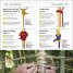 Knots Step by Step : A Practical Guide to Tying & Using Over 100 Knots
