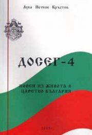 Досег-4