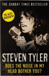 Steven Tyler: Does The Noise in My Head Bother You?
