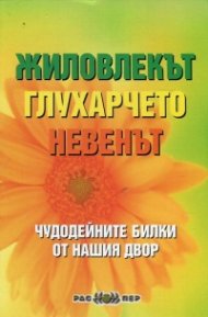 Жиловлекът, глухарчето, невенът (Чудодейни билки от нашия двор)