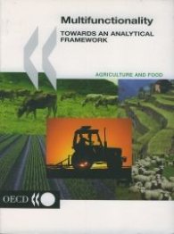 Multifunctionality-Towards an analytical Framework