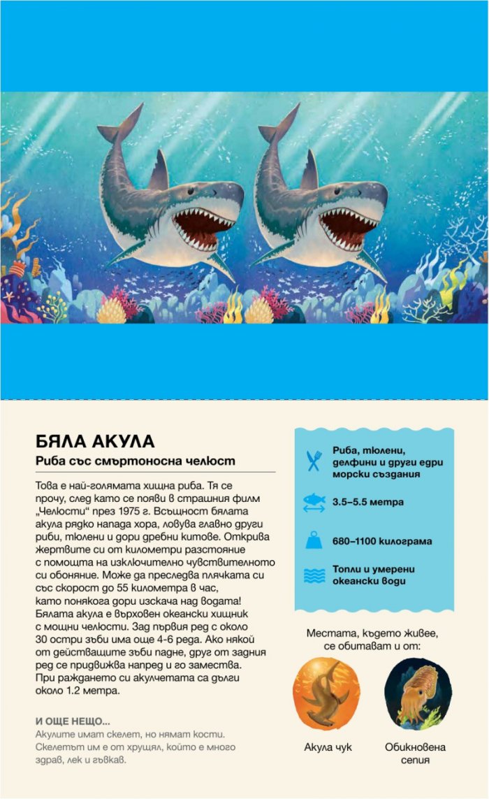 Да надникнем в Океана!
