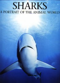 Sharks: A portrait of the animal world