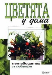 Цветята у дома