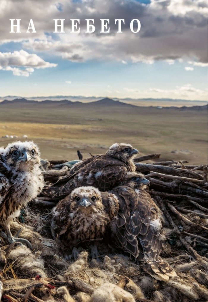 National Geographic България 12/2018