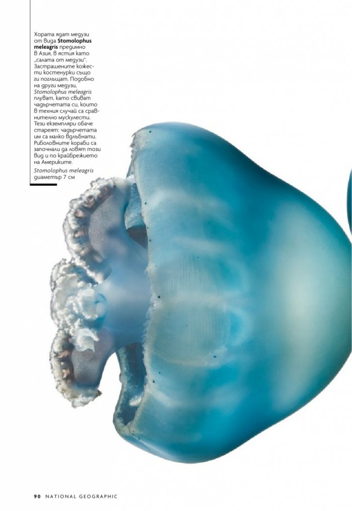 National Geographic България 12/2018