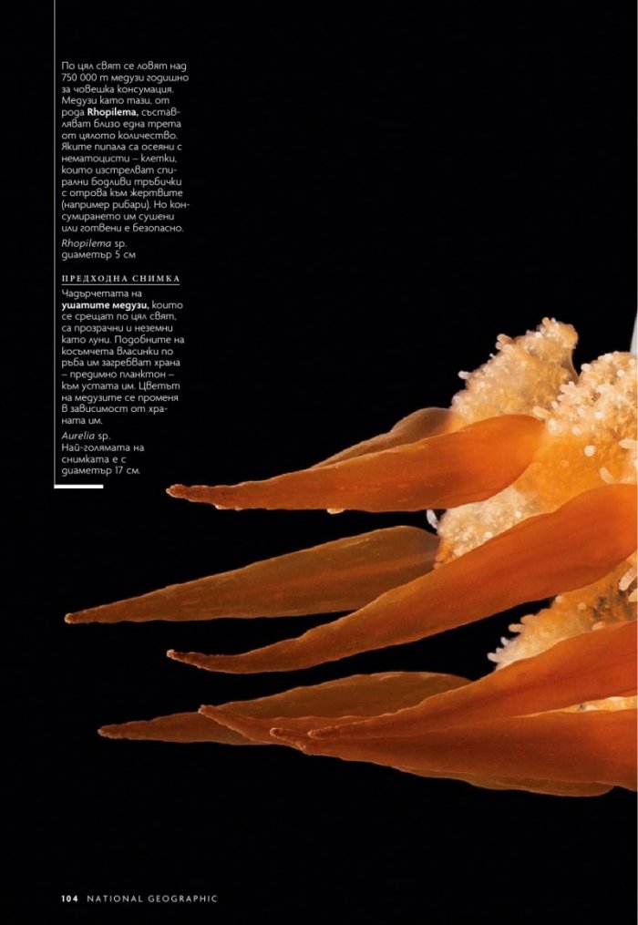 National Geographic България 12/2018