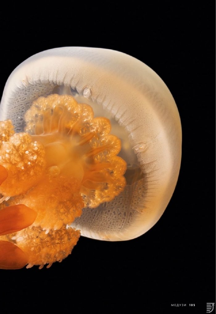 National Geographic България 12/2018