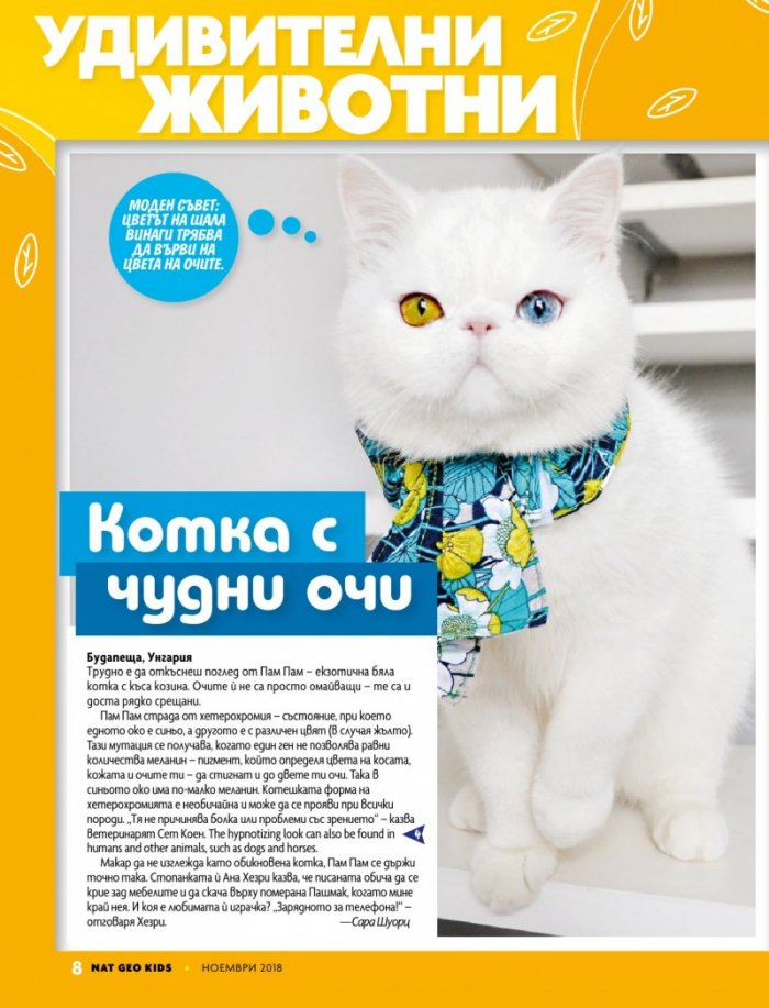 National Geographic KIDS България 11/2018